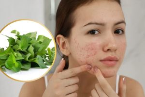 Cách làm mặt nạ rau diếp cá để tủ lạnh được tươi lâu không bị hỏng