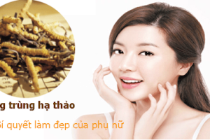 Đông Trùng Hạ Thảo – Làm đẹp da từ sâu bên trong